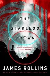 Cover of Starless Crown