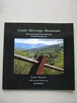 Cover of Under Blorenge Mountain