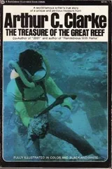 Cover of The Treasure of the Great Reef