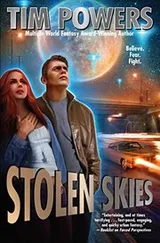 Cover of Stolen Skies