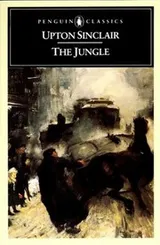 Cover of Jungle