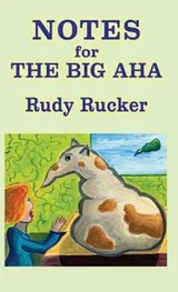 Cover of Notes for The Big Aha