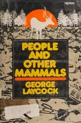 Cover of People and other mammals