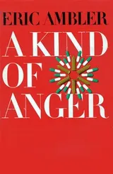 Cover of A Kind of Anger