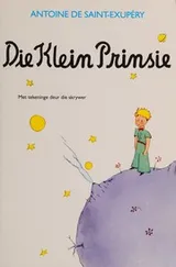 Cover of Klein Prinsie