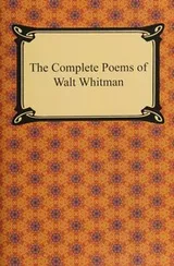 Cover of The Complete Poems of Walt Whitman