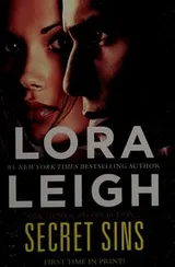 Cover of Secret sins