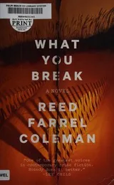 Cover of What You Break