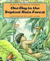 Cover of One Day in the Tropical Rain Forest