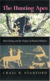 Cover of The Hunting Apes