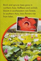 Cover of Asia