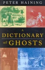 Cover of A dictionary of ghosts