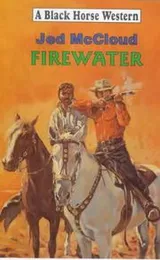 Cover of Firewater