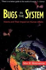 Cover of Bugs in the System