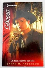 Cover of Un reencuentro perfecto