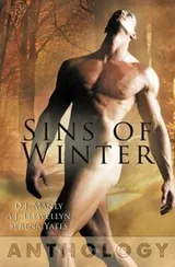 Cover of Sins of Winter