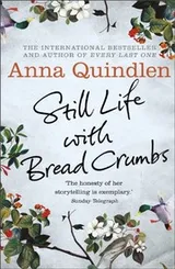 Cover of Still Life with Bread Crumbs