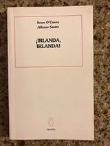 Cover of The shadow of a gunman