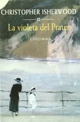 Cover of LA VIOLETA DEL PRATER