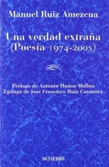 Cover of Una verdad extraña
