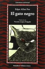 Cover of El gato negro