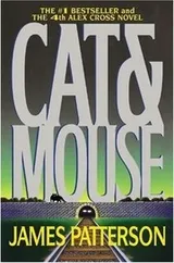 Cover of Cat and Mouse