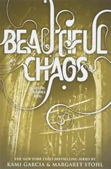 Cover of Beautiful Chaos