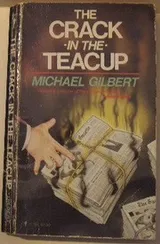 Cover of The crack in the teacup