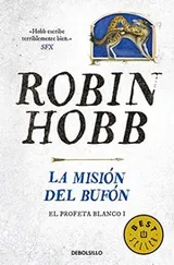 Cover of Fool's Errand