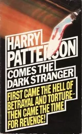 Cover of Comes the Dark Stranger
