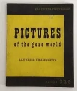 Cover of Pictures of the Gone World