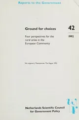 Cover of Ground for choices
