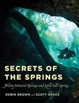 Cover of Secrets of the Springs