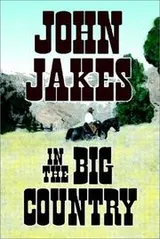 Cover of In the big country