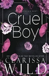 Cover of Cruel Boy