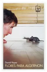 Cover of Flores para Algernon