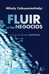 Cover of Fluir en Los Negocios