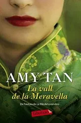 Cover of La vall de la Meravella