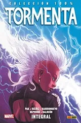 Cover of TORMENTA