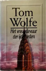Cover of Het vreugdevuur der ijdelheden
