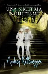 Cover of Una simetria inquietant