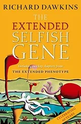 Cover of The extended selfish gene