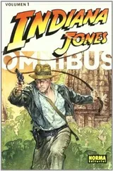 Cover of INDIANA JONES OMNIBUS 1