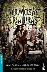 Cover of Hermosas criaturas