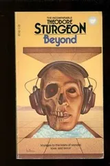 Cover of Beyond