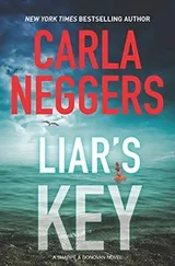 Cover of Liar's key