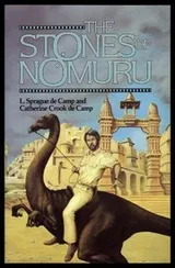 Cover of The stones of Nomuru