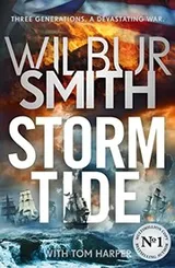 Cover of Storm Tide