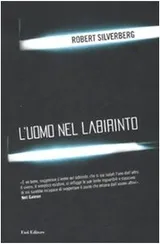 Cover of L'uomo nel labirinto