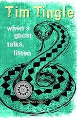 Cover of When a Ghost Talks, Listen